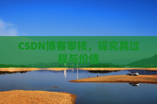 CSDN博客审核，探究其过程与价值